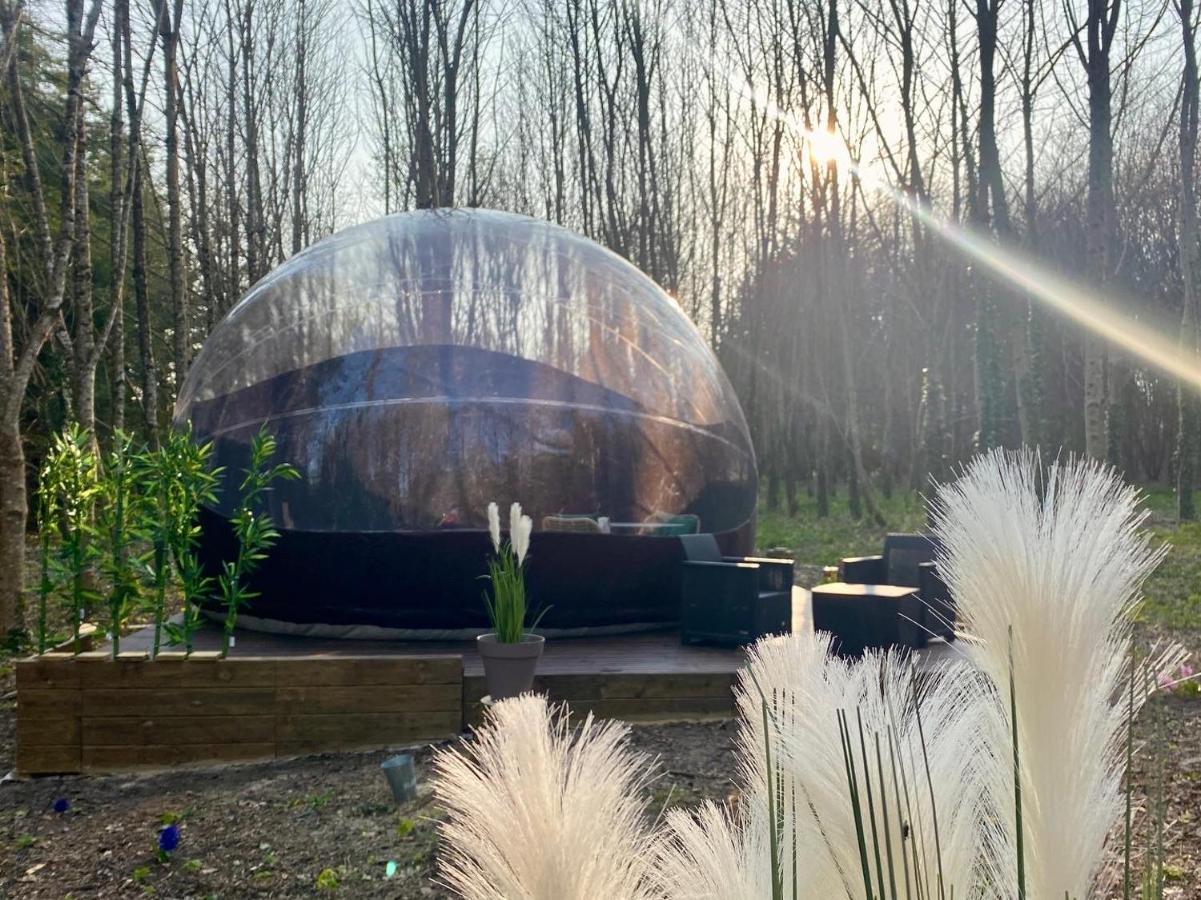 Logement Insolite "Bubble Jungle" Saint-Evarzec Экстерьер фото