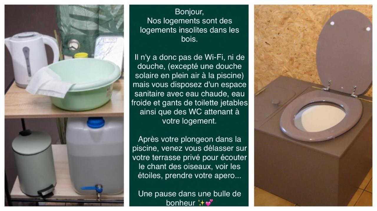 Logement Insolite "Bubble Jungle" Saint-Evarzec Экстерьер фото